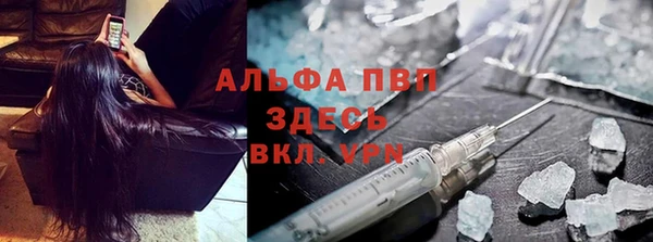 PSILOCYBIN Горняк