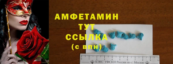 PSILOCYBIN Горняк
