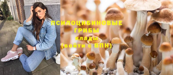 PSILOCYBIN Горняк