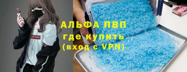 PSILOCYBIN Горняк