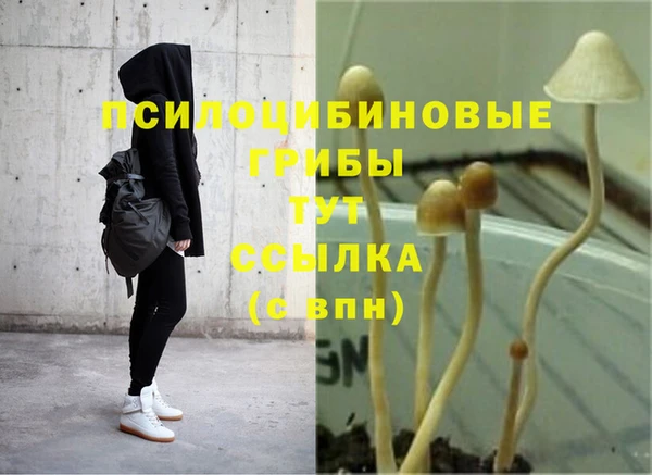 каннабис Горно-Алтайск