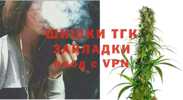 PSILOCYBIN Горняк