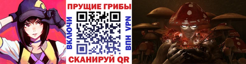 Псилоцибиновые грибы прущие грибы где продают Михайлов